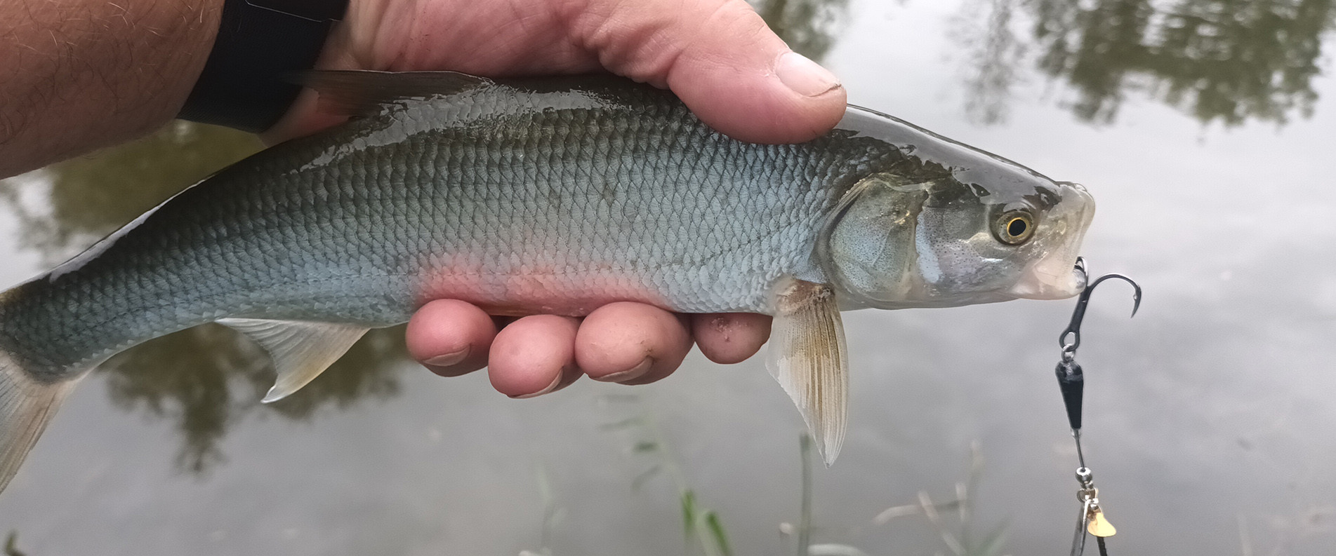Erfolgreich mit dem "Bavaria Turbospinner DELUXE"